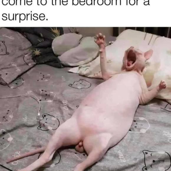 robertomaldonad